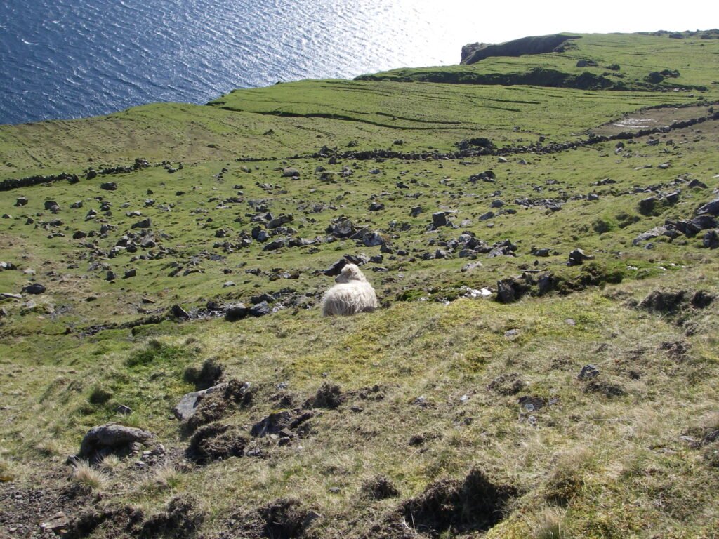 Einskiljingin av landsjørðini