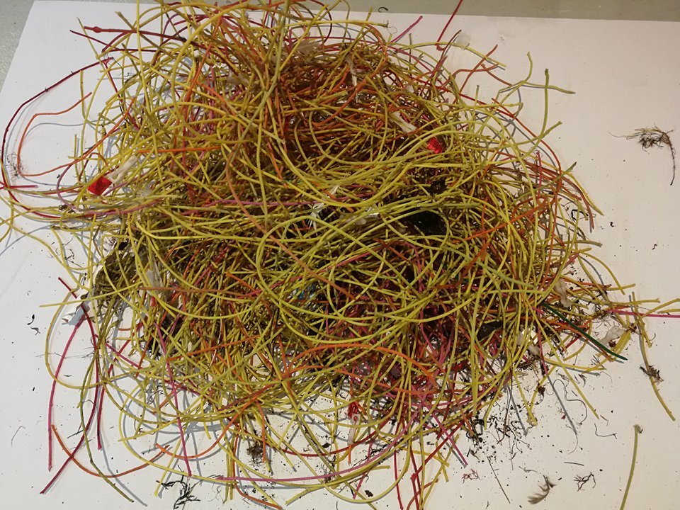 Plastleidningar eru í grótinum frá Glyvursnesi