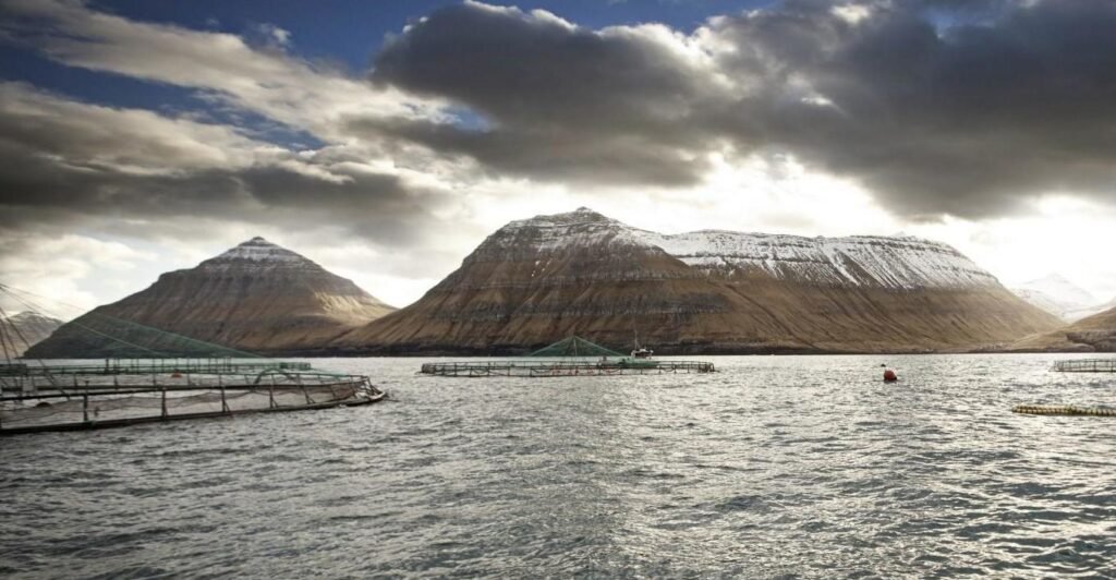 Ov fáar treytir verða settar til aling