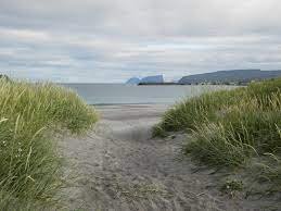 Verjið Mølheggjarnar á Sandi!