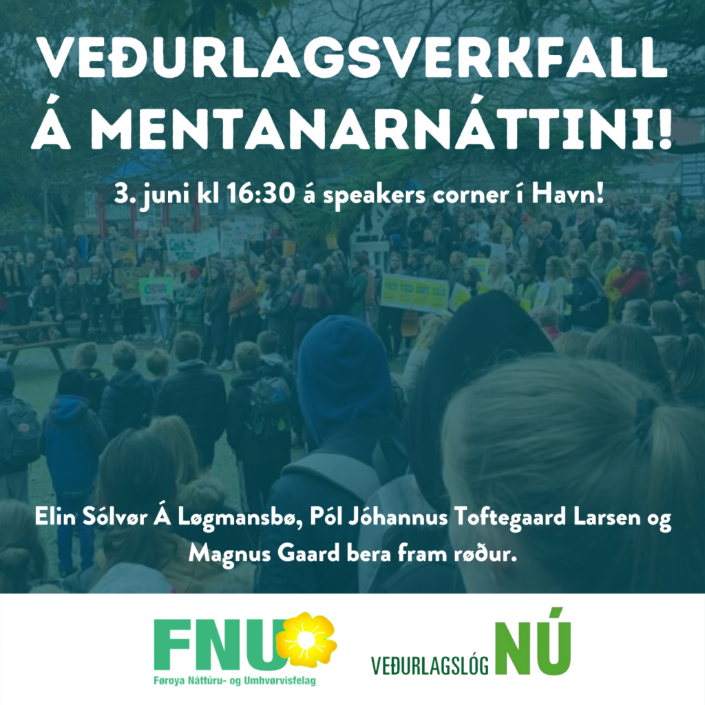 Veðurlagsverkfall á Mentanarnáttini