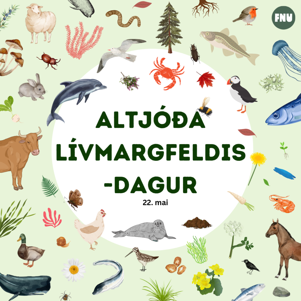 Altjóða lívmargfeldisdagur 2023