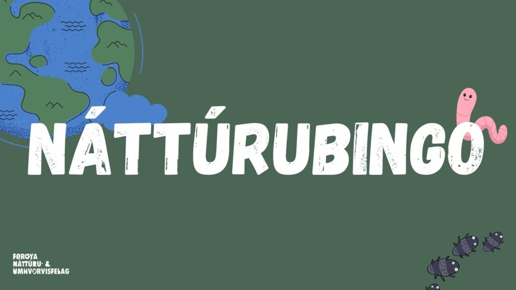 NÁTTÚRUBINGO – Kom út í náttúruna í summar! 🌿