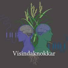VÍSINDAKNOKKAR – Spotify